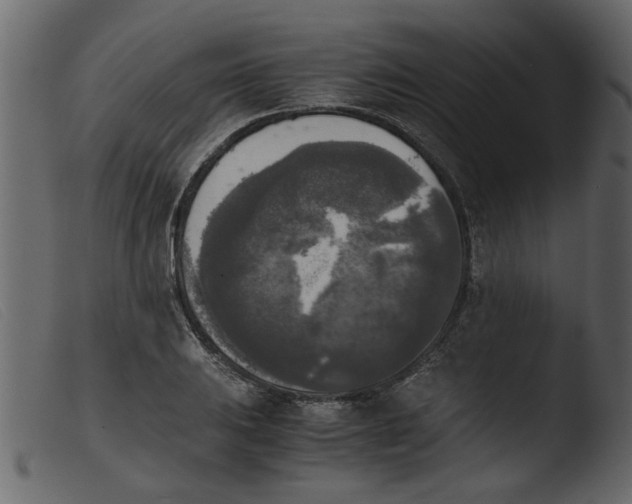 X0000103961031200810101240