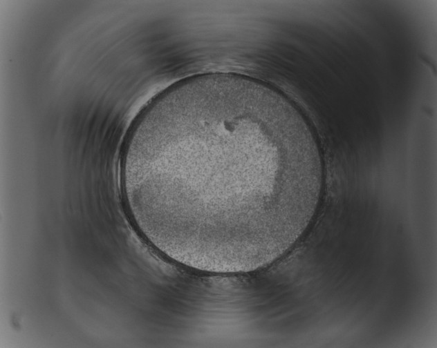 X0000103961032200810101240