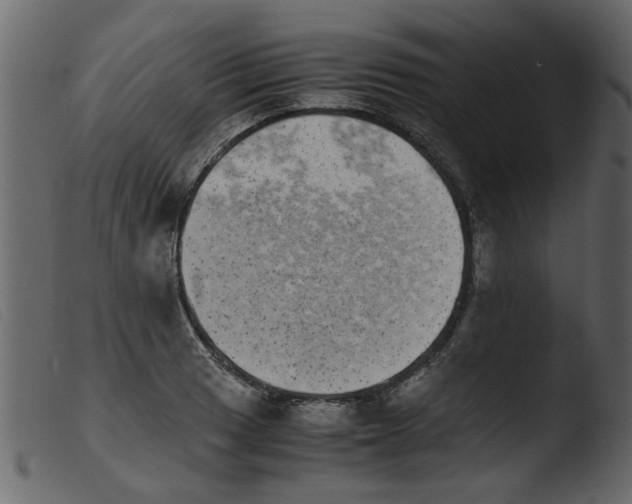 X0000103961033200810101240