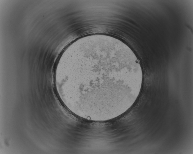 X0000103961034200810101240