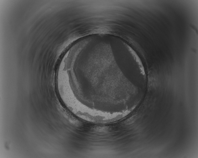 X0000103961035200810101240