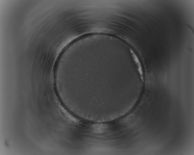 X0000103961037200810101240