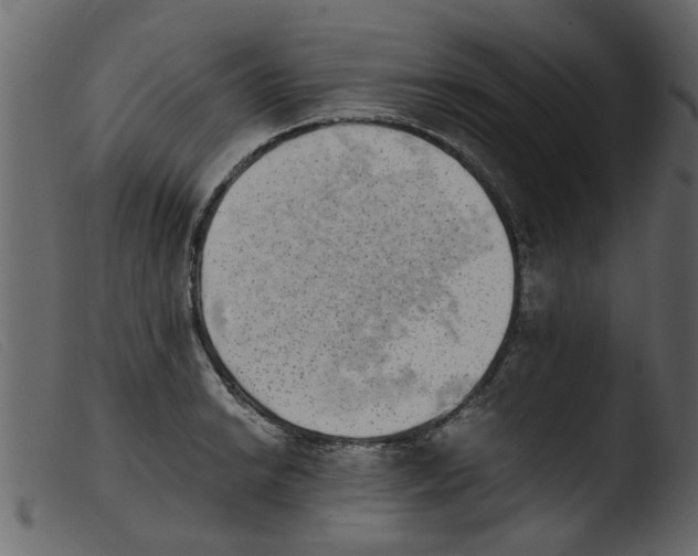 X0000103961038200810101240