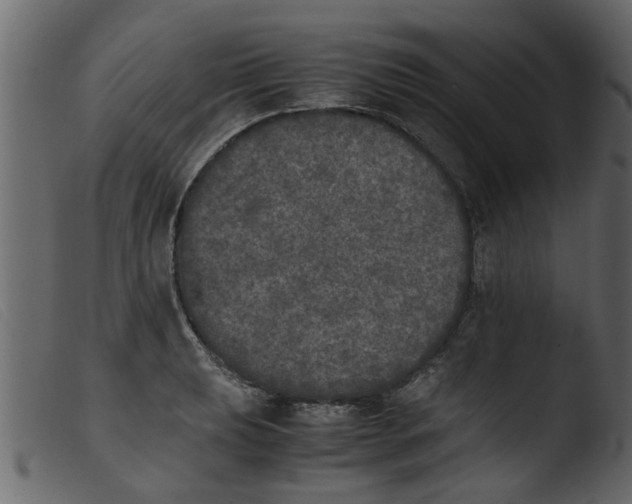 X0000103961039200810101240