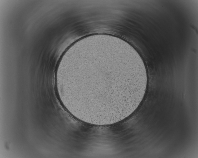 X0000103961040200810101240