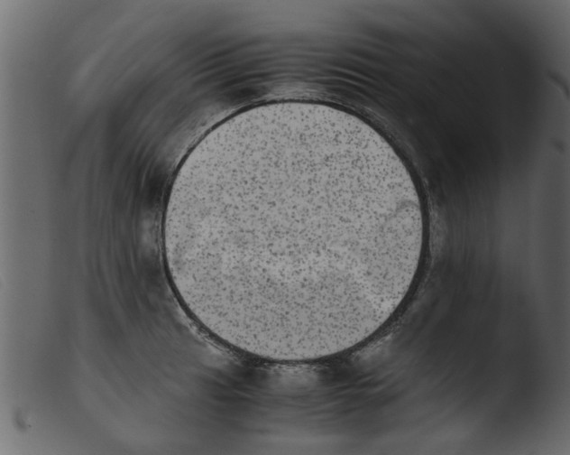 X0000103961041200810101240