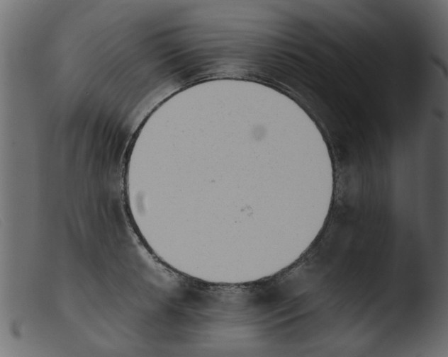 X0000103961042200810101240