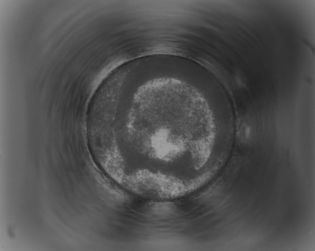 X0000103961043200810101240