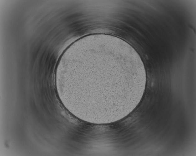 X0000103961044200810101240