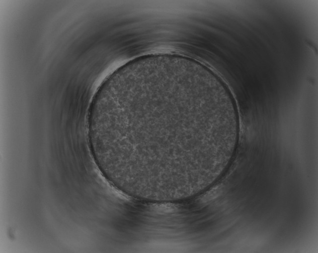 X0000103961045200810101240