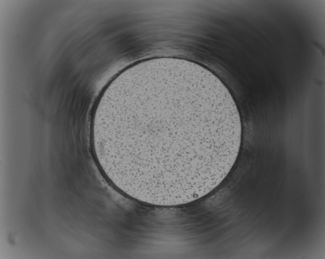 X0000103961046200810101240