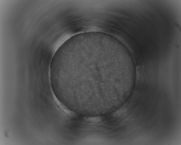 X0000103961047200810101240