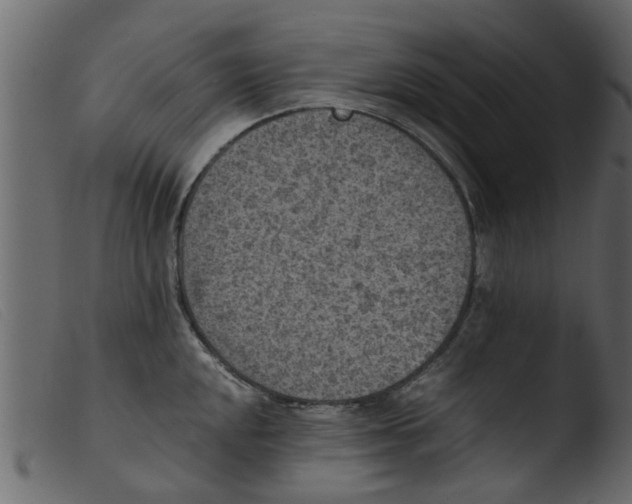 X0000103961048200810101240