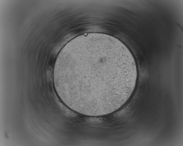 X0000103961049200810101240