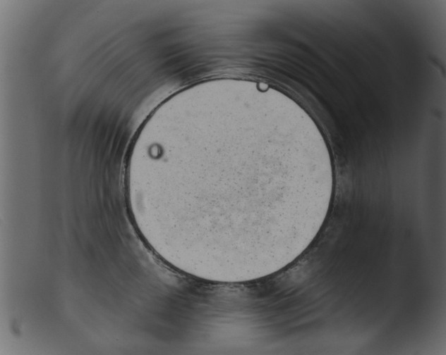 X0000103961050200810101240