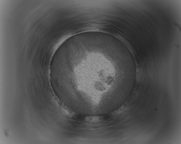 X0000103961051200810101240