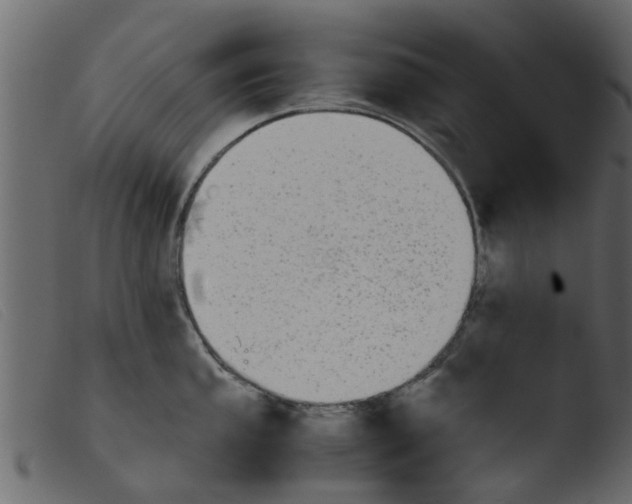 X0000103961053200810101240