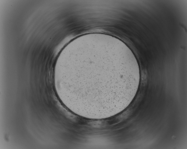 X0000103961054200810101240