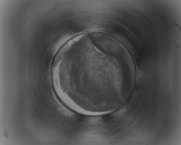 X0000103961055200810101240