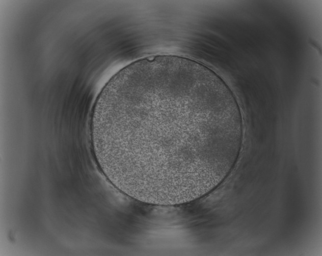 X0000103961056200810101240