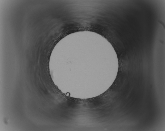 X0000103961057200810101239