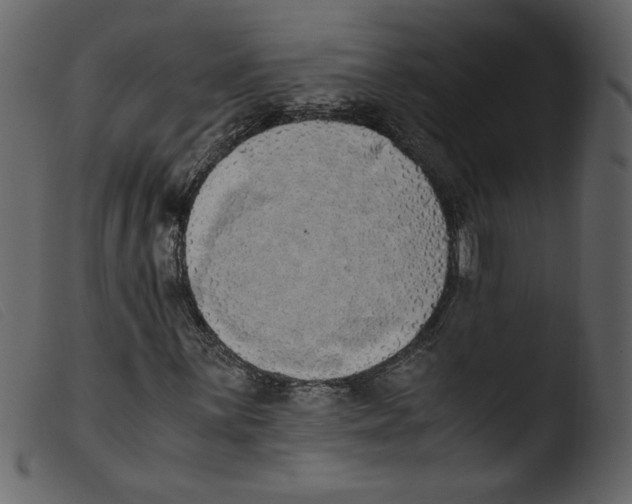 X0000103961059200810101239