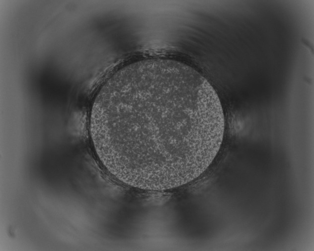 X0000103961060200810101239