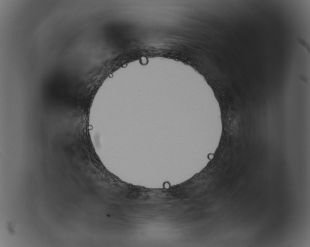 X0000103961061200810101239