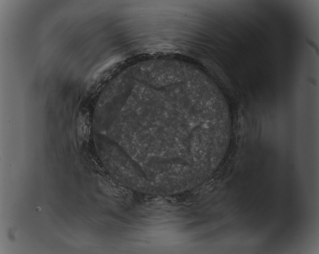 X0000103961063200810101239