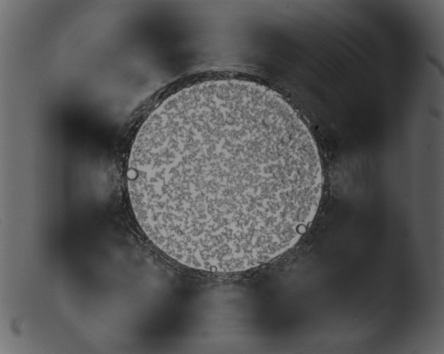 X0000103961064200810101239