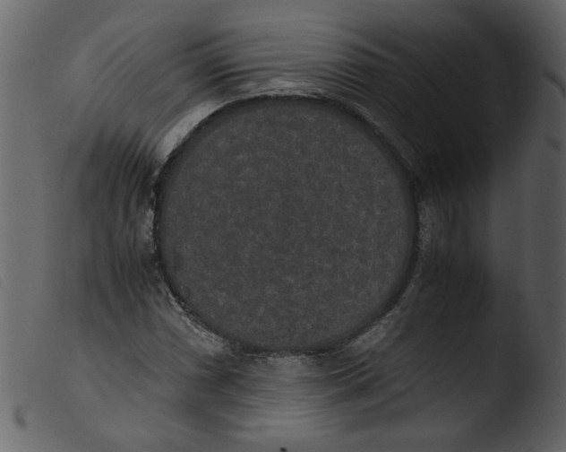 X0000103961066200810101239