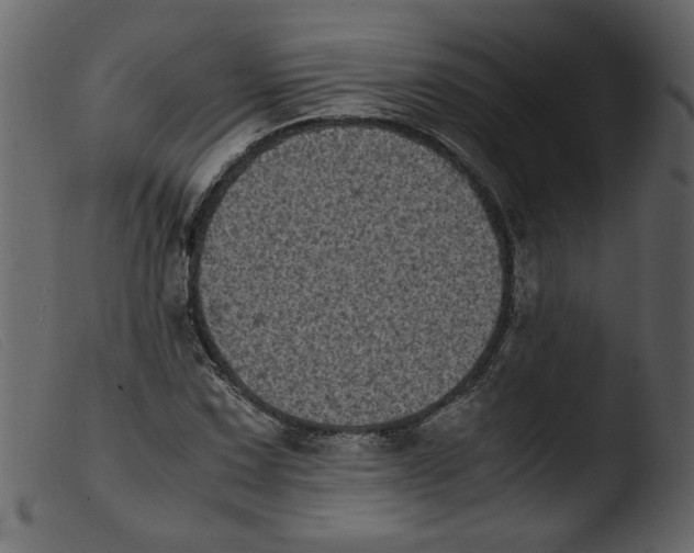 X0000103961067200810101239