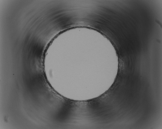 X0000103961068200810101239