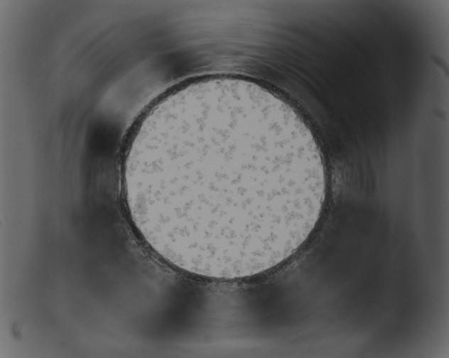 X0000103961069200810101239