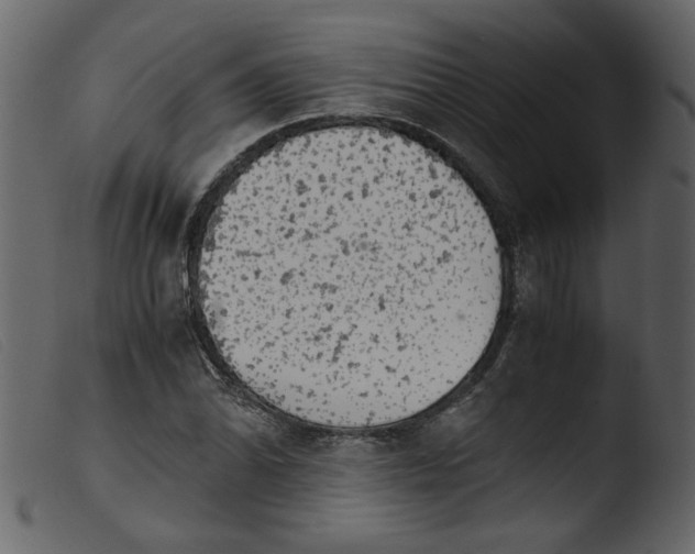 X0000103961070200810101239