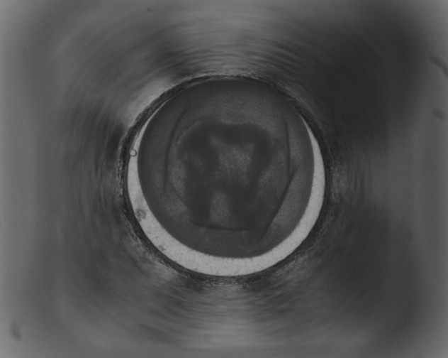 X0000103961071200810101239