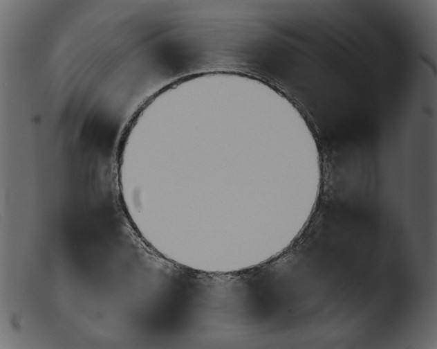 X0000103961072200810101239