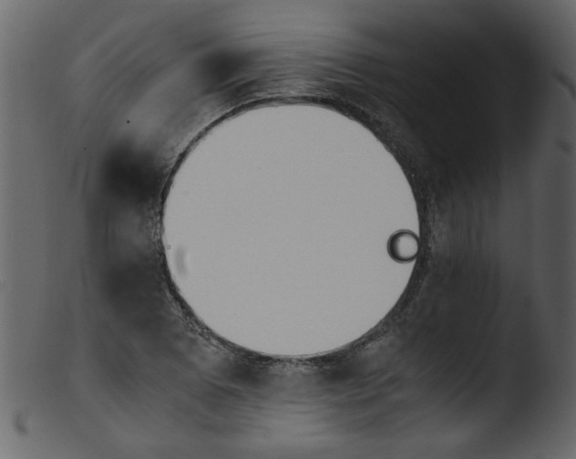 X0000103961073200810101239