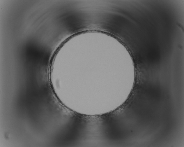 X0000103961076200810101239