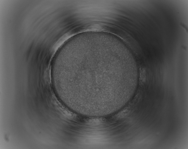 X0000103961078200810101239