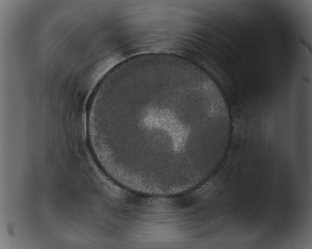 X0000103961079200810101239