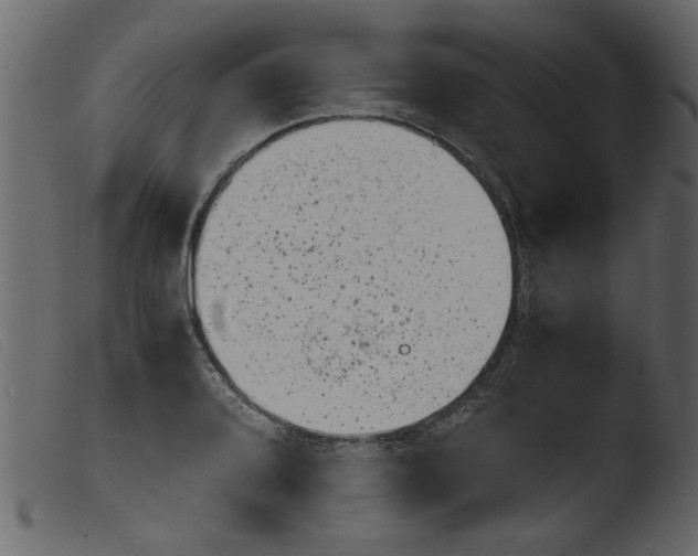 X0000103961080200810101239