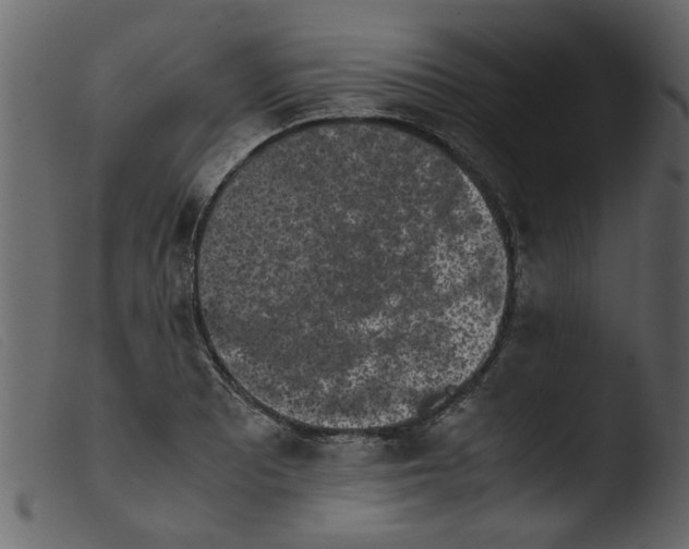 X0000103961081200810101239