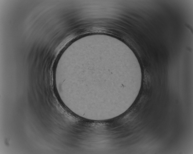 X0000103961082200810101239