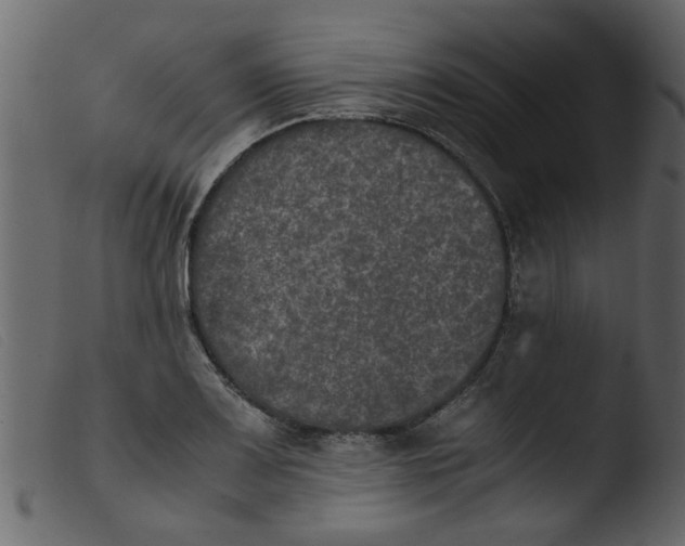 X0000103961083200810101239