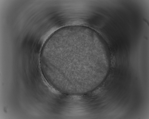 X0000103961086200810101239