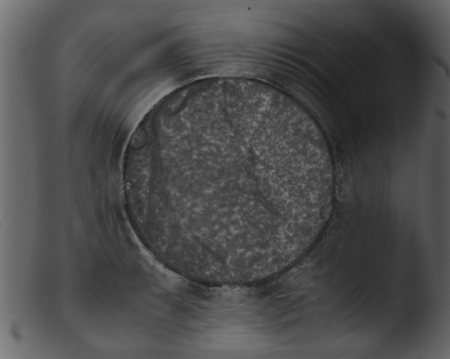 X0000103961087200810101239