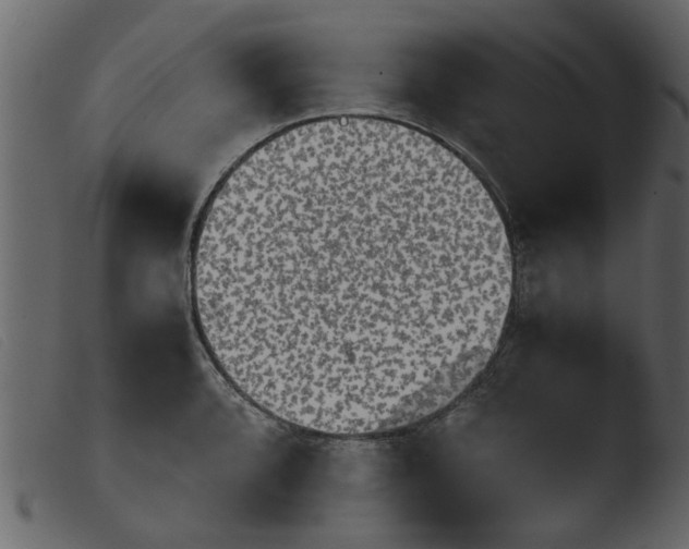 X0000103961088200810101239