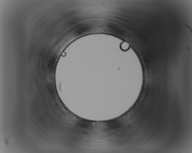 X0000103961089200810101239