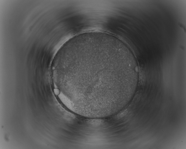 X0000103961090200810101239